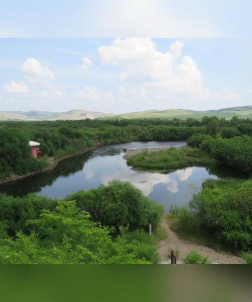 海口凤凰山庄新闻头条，创新发展的绿色家园：海口凤凰山庄新闻头条最新消息