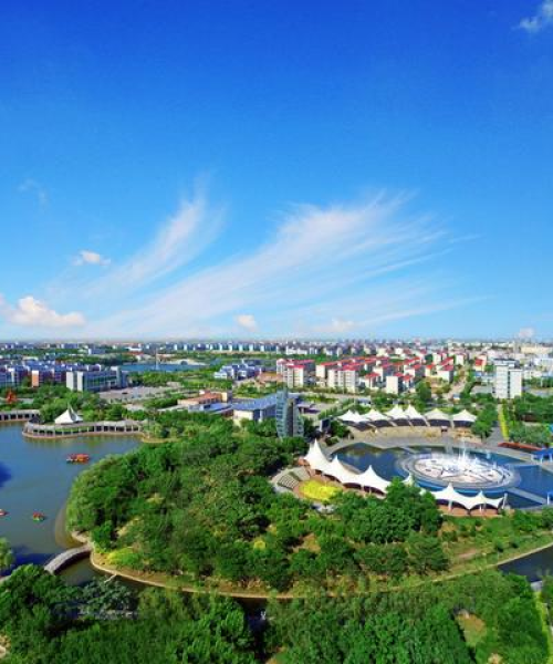 东营市最新头条新闻：东营市头条新闻网