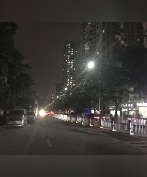 不飞则已