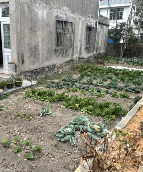 停车场管理革命，我们如何实现95%的停车准确率：停车场管理规范和标准